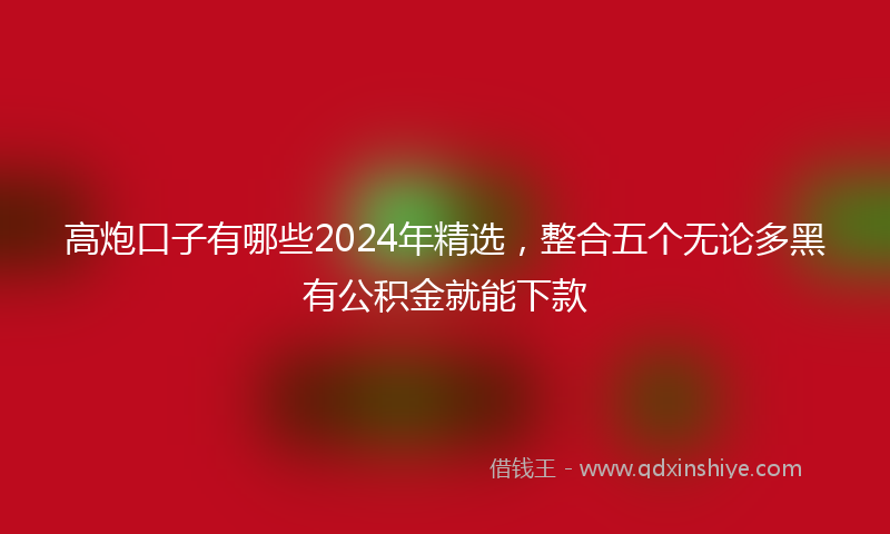 高炮口子有哪些2024年精选，整合五个无论多黑有公积金就能下款