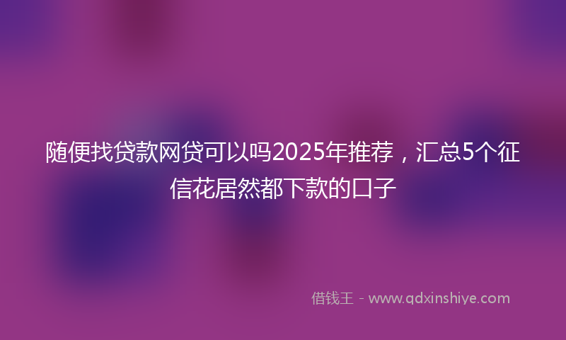 随便找贷款网贷可以吗2025年推荐，汇总5个征信花居然都下款的口子