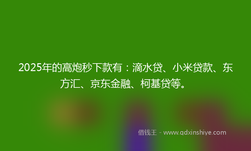 2025年的高炮秒下款有：滴水贷、小米贷款、东方汇、京东金融、柯基贷等。