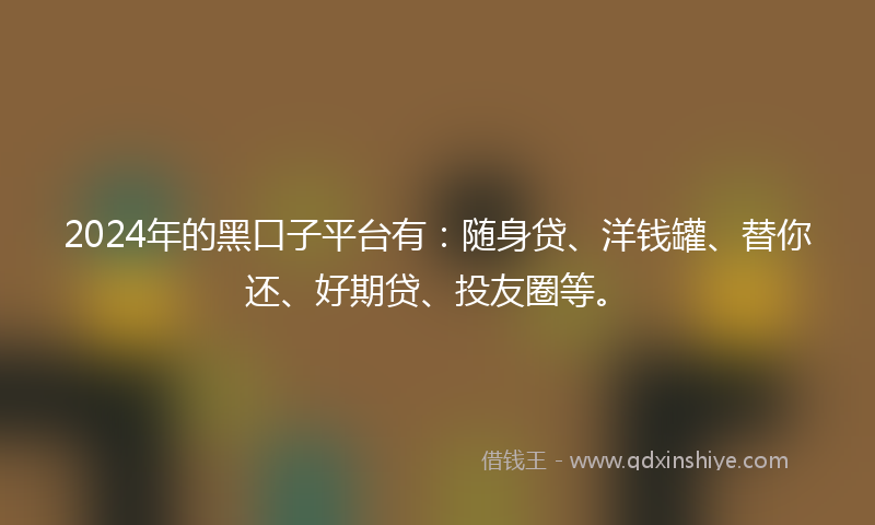 2024年的黑口子平台有：随身贷、洋钱罐、替你还、好期贷、投友圈等。