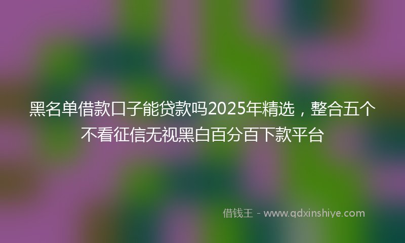 黑名单借款口子能贷款吗2025年精选，整合五个不看征信无视黑白百分百下款平台