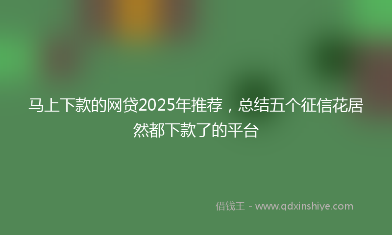 马上下款的网贷2025年推荐，总结五个征信花居然都下款了的平台
