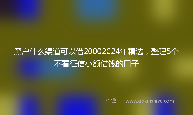 黑户什么渠道可以借20002024年精选，整理5个不看征信小额借钱的口子