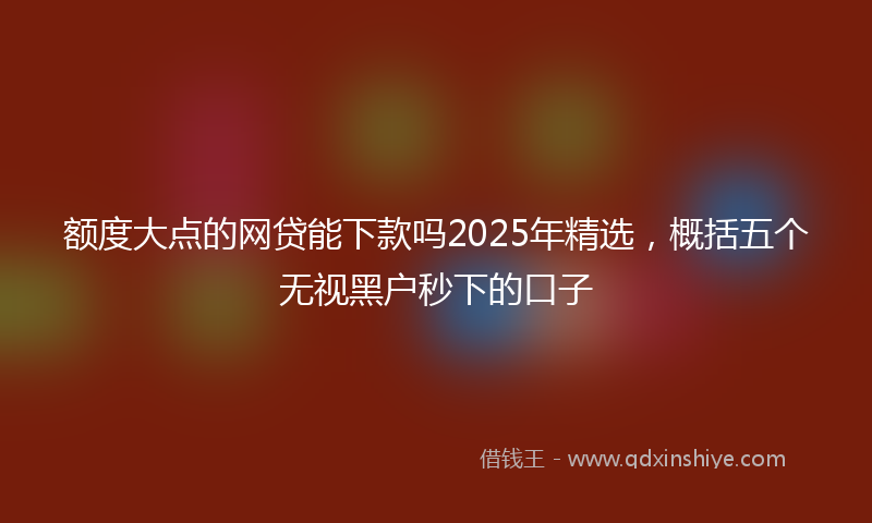 额度大点的网贷能下款吗2025年精选，概括五个无视黑户秒下的口子