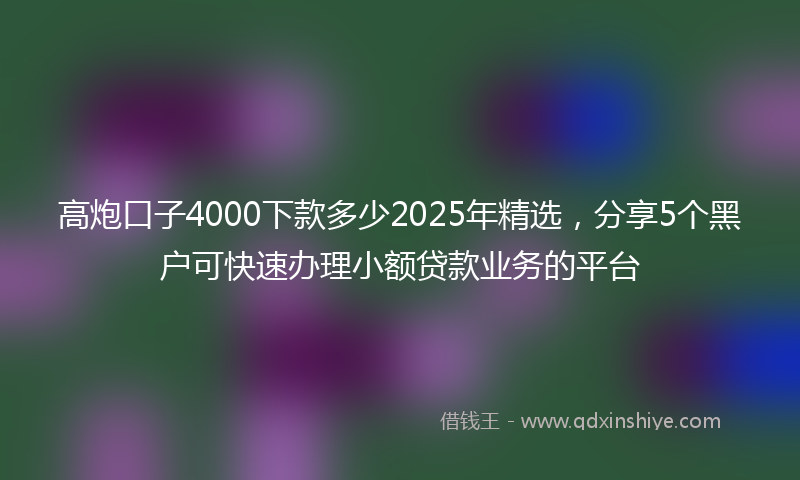 高炮口子4000下款多少2025年精选，分享5个黑户可快速办理小额贷款业务的平台