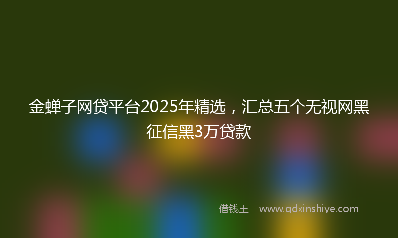 金蝉子网贷平台2025年精选，汇总五个无视网黑征信黑3万贷款
