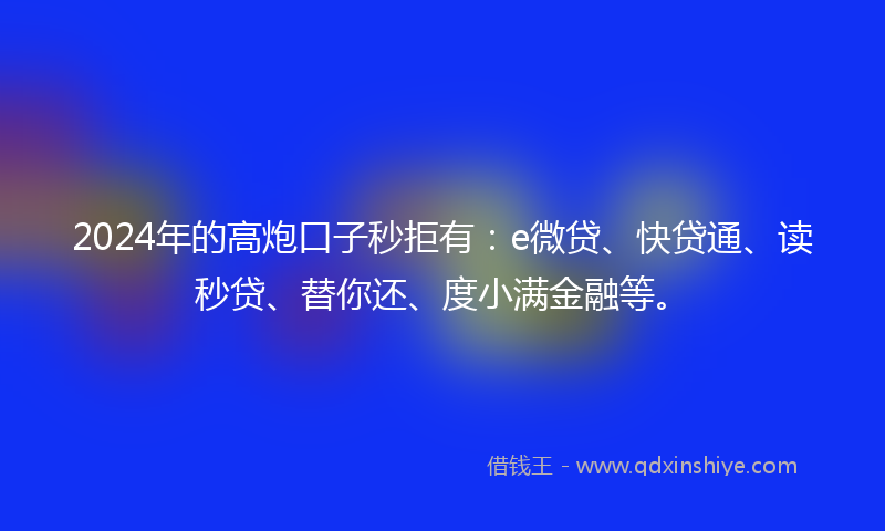 2024年的高炮口子秒拒有：e微贷、快贷通、读秒贷、替你还、度小满金融等。