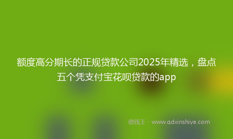 额度高分期长的正规贷款公司2025年精选，盘点五个凭支付宝花呗贷款的app