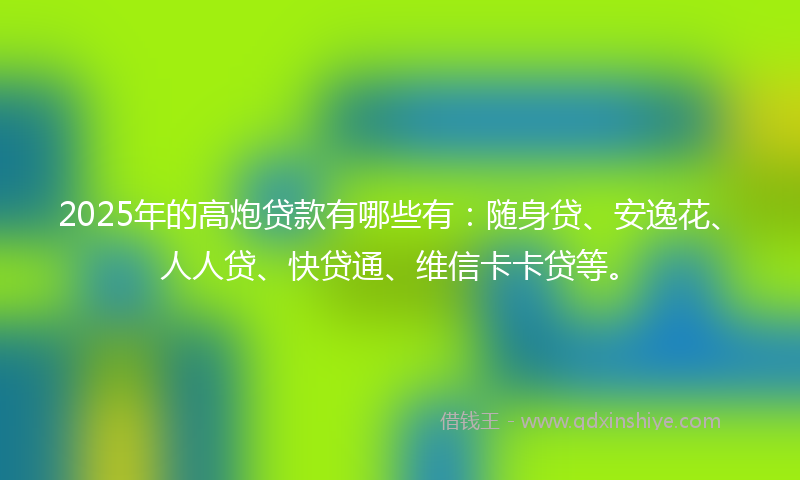 2025年的高炮贷款有哪些有：随身贷、安逸花、人人贷、快贷通、维信卡卡贷等。