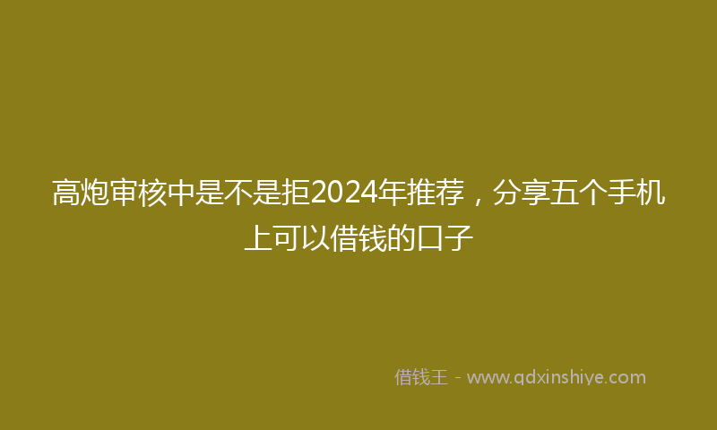 高炮审核中是不是拒2024年推荐，分享五个手机上可以借钱的口子