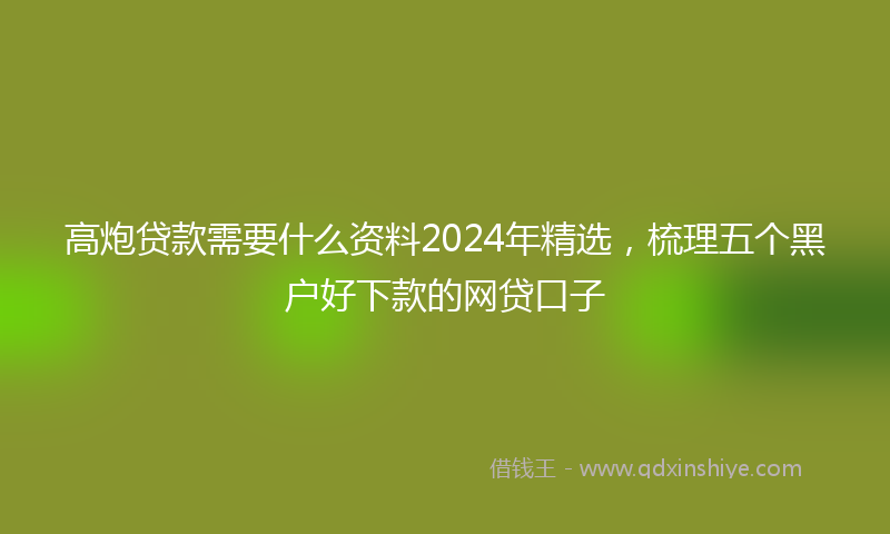 高炮贷款需要什么资料2024年精选，梳理五个黑户好下款的网贷口子