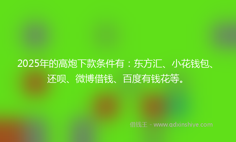 2025年的高炮下款条件有：东方汇、小花钱包、还呗、微博借钱、百度有钱花等。