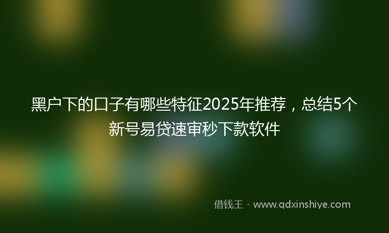 黑户下的口子有哪些特征2025年推荐，总结5个新号易贷速审秒下款软件