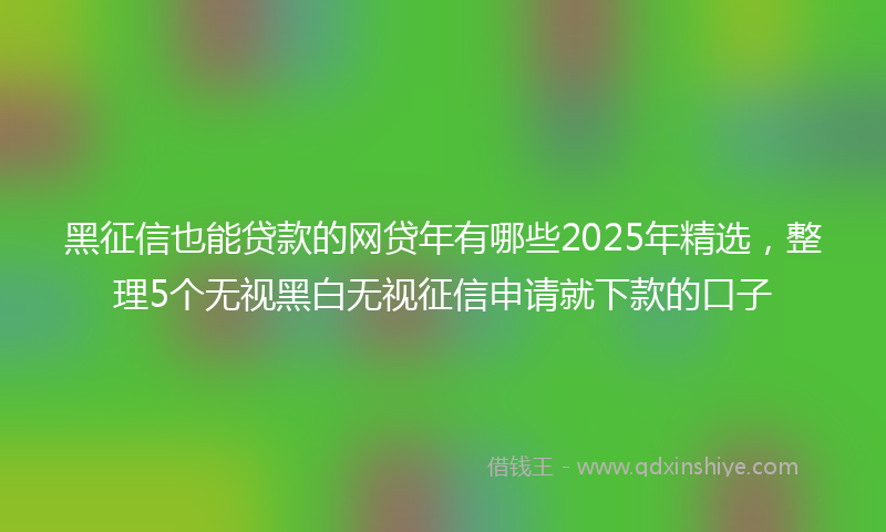 黑征信也能贷款的网贷年有哪些2025年精选，整理5个无视黑白无视征信申请就下款的口子