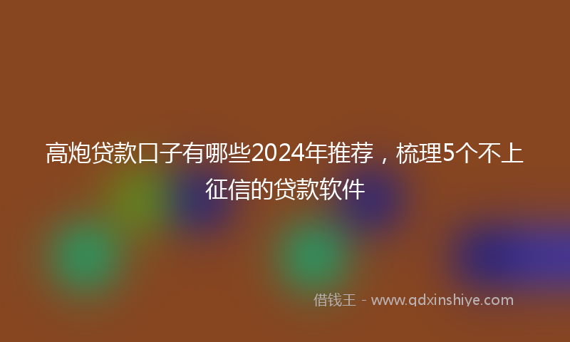 高炮贷款口子有哪些2024年推荐，梳理5个不上征信的贷款软件