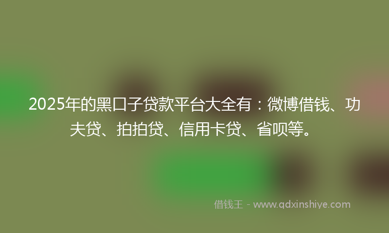 2025年的黑口子贷款平台大全有：微博借钱、功夫贷、拍拍贷、信用卡贷、省呗等。