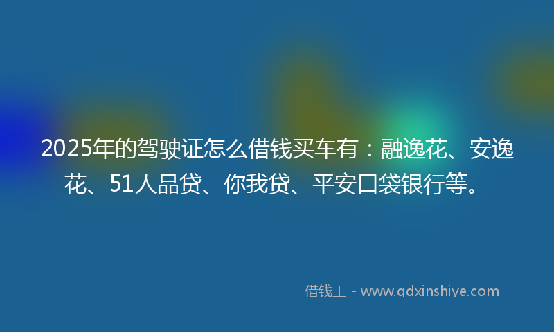 2025年的驾驶证怎么借钱买车有：融逸花、安逸花、51人品贷、你我贷、平安口袋银行等。