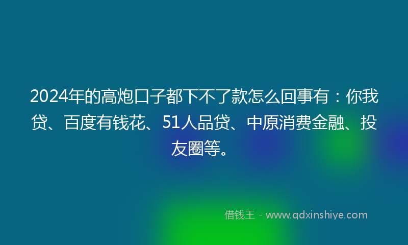 2024年的高炮口子都下不了款怎么回事有：你我贷、百度有钱花、51人品贷、中原消费金融、投友圈等。