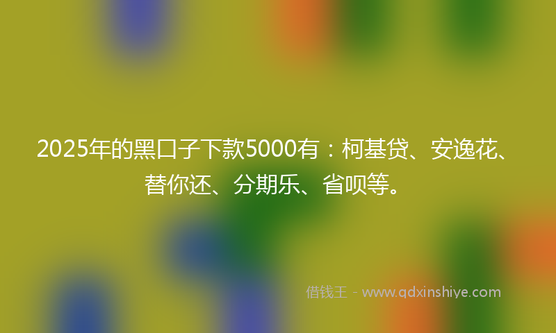 2025年的黑口子下款5000有：柯基贷、安逸花、替你还、分期乐、省呗等。