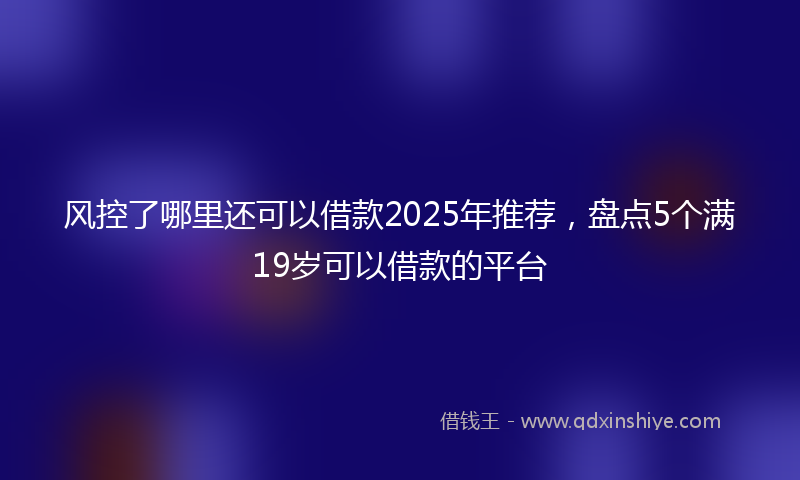 风控了哪里还可以借款2025年推荐，盘点5个满19岁可以借款的平台