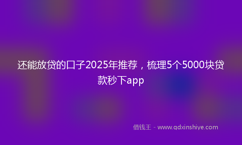还能放贷的口子2025年推荐，梳理5个5000块贷款秒下app
