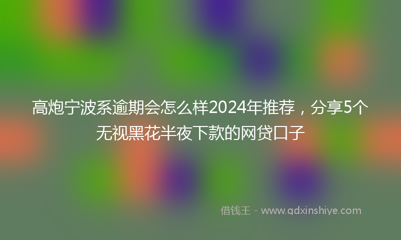高炮宁波系逾期会怎么样2024年推荐，分享5个无视黑花半夜下款的网贷口子