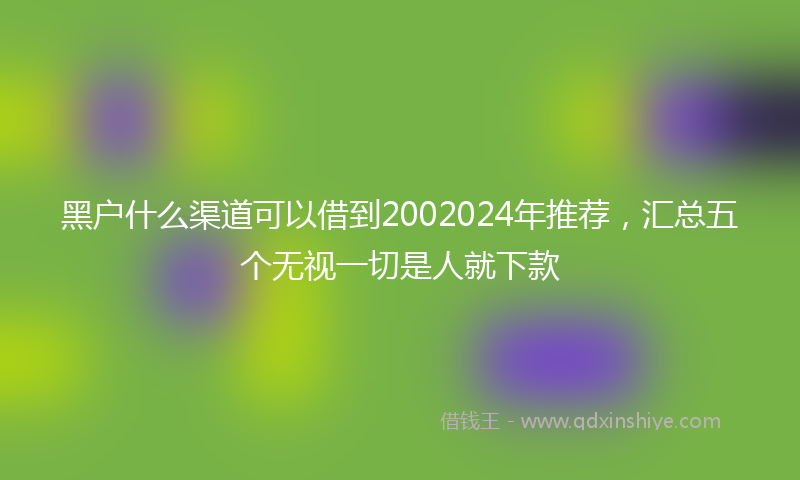 黑户什么渠道可以借到2002024年推荐，汇总五个无视一切是人就下款