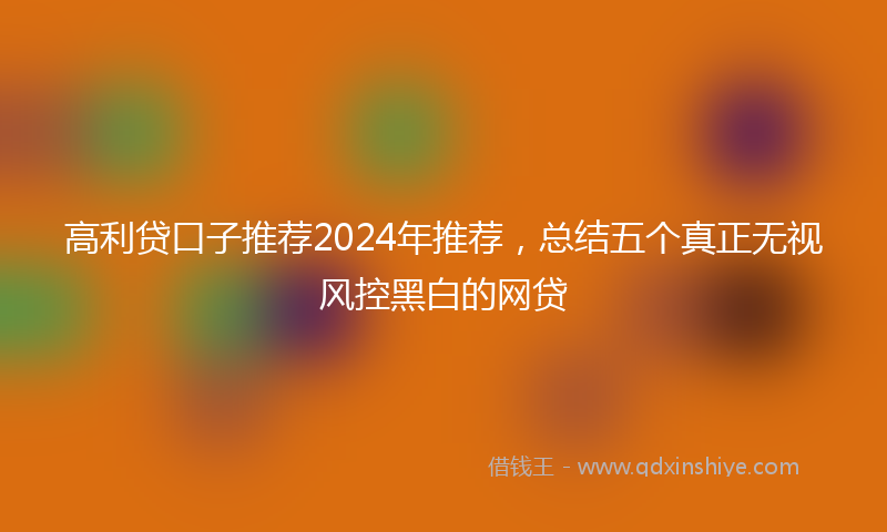 高利贷口子推荐2024年推荐，总结五个真正无视风控黑白的网贷