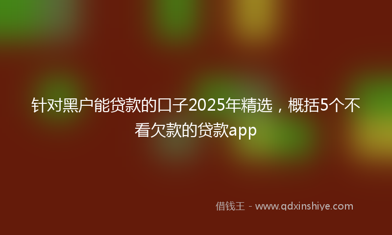 针对黑户能贷款的口子2025年精选，概括5个不看欠款的贷款app