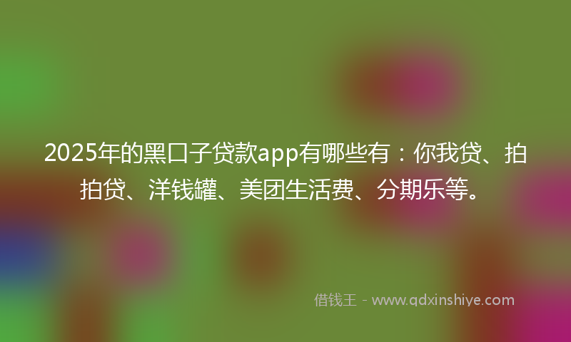 2025年的黑口子贷款app有哪些有：你我贷、拍拍贷、洋钱罐、美团生活费、分期乐等。