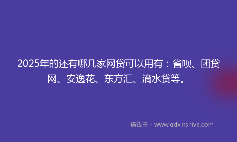 2025年的还有哪几家网贷可以用有：省呗、团贷网、安逸花、东方汇、滴水贷等。