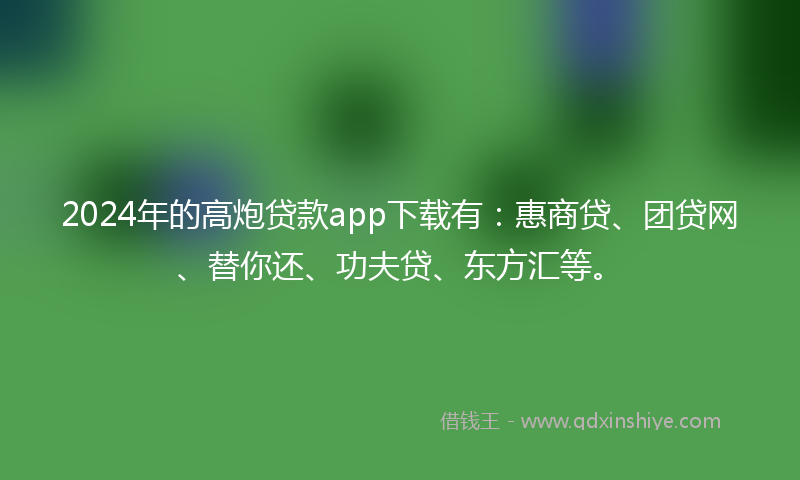 2024年的高炮贷款app下载有：惠商贷、团贷网、替你还、功夫贷、东方汇等。