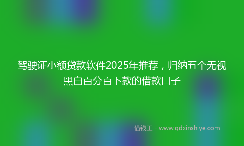 驾驶证小额贷款软件2025年推荐，归纳五个无视黑白百分百下款的借款口子