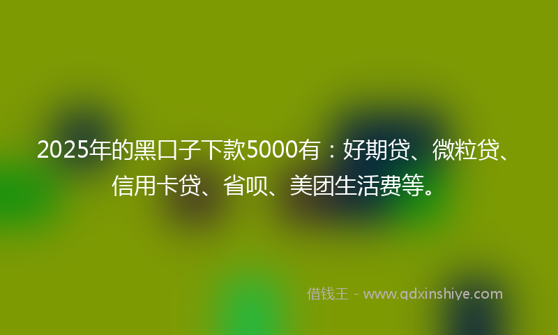 2025年的黑口子下款5000有：好期贷、微粒贷、信用卡贷、省呗、美团生活费等。