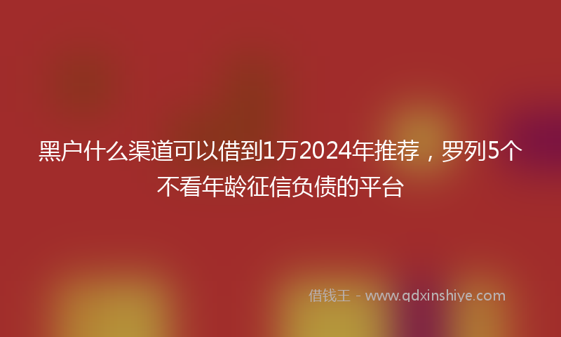 黑户什么渠道可以借到1万2024年推荐，罗列5个不看年龄征信负债的平台