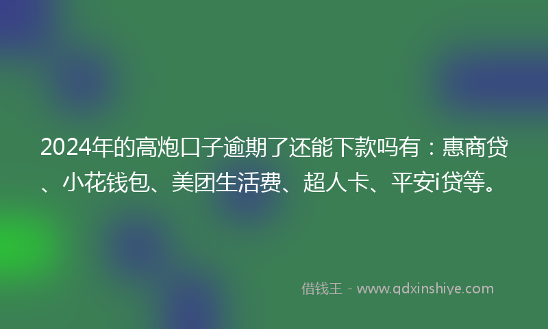 2024年的高炮口子逾期了还能下款吗有：惠商贷、小花钱包、美团生活费、超人卡、平安i贷等。
