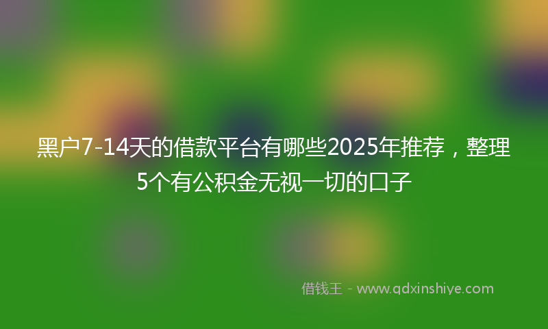 黑户7-14天的借款平台有哪些2025年推荐，整理5个有公积金无视一切的口子