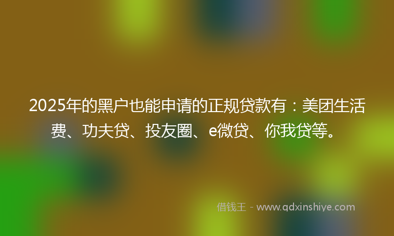 2025年的黑户也能申请的正规贷款有：美团生活费、功夫贷、投友圈、e微贷、你我贷等。