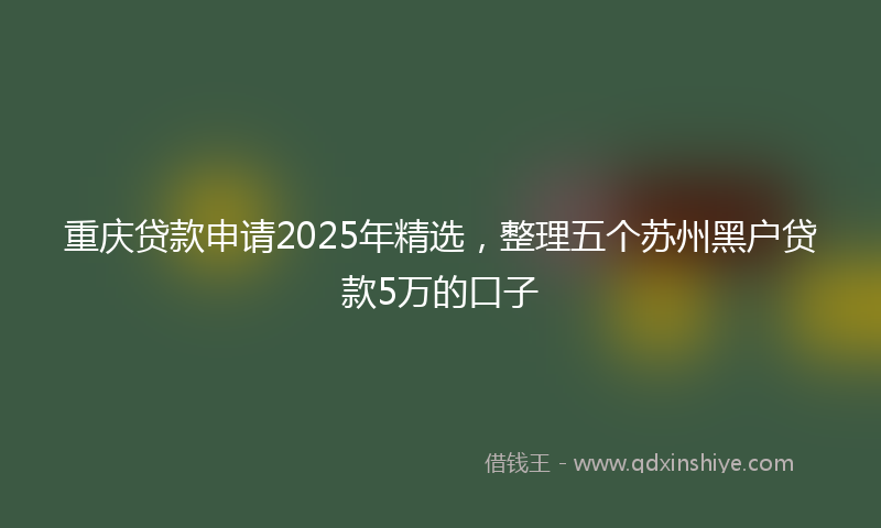 重庆贷款申请2025年精选，整理五个苏州黑户贷款5万的口子
