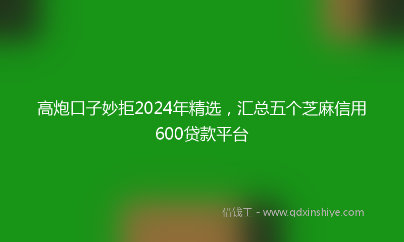 高炮口子妙拒2024年精选，汇总五个芝麻信用600贷款平台