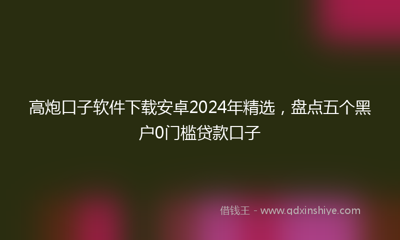 高炮口子软件下载安卓2024年精选，盘点五个黑户0门槛贷款口子