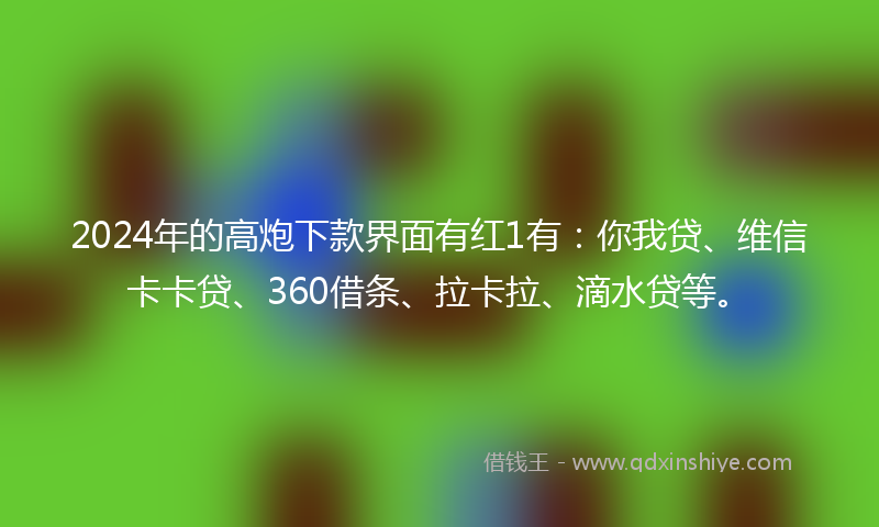 2024年的高炮下款界面有红1有：你我贷、维信卡卡贷、360借条、拉卡拉、滴水贷等。