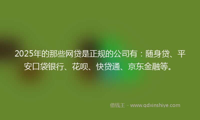 2025年的那些网贷是正规的公司有：随身贷、平安口袋银行、花呗、快贷通、京东金融等。