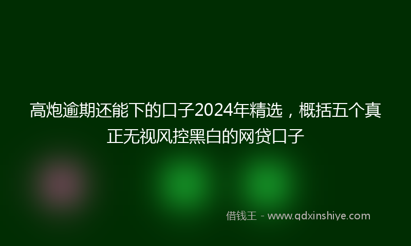 高炮逾期还能下的口子2024年精选，概括五个真正无视风控黑白的网贷口子