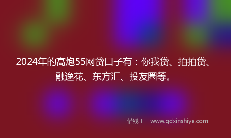 2024年的高炮55网贷口子有：你我贷、拍拍贷、融逸花、东方汇、投友圈等。