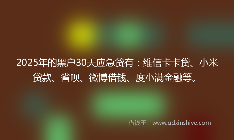 2025年的黑户30天应急贷有：维信卡卡贷、小米贷款、省呗、微博借钱、度小满金融等。