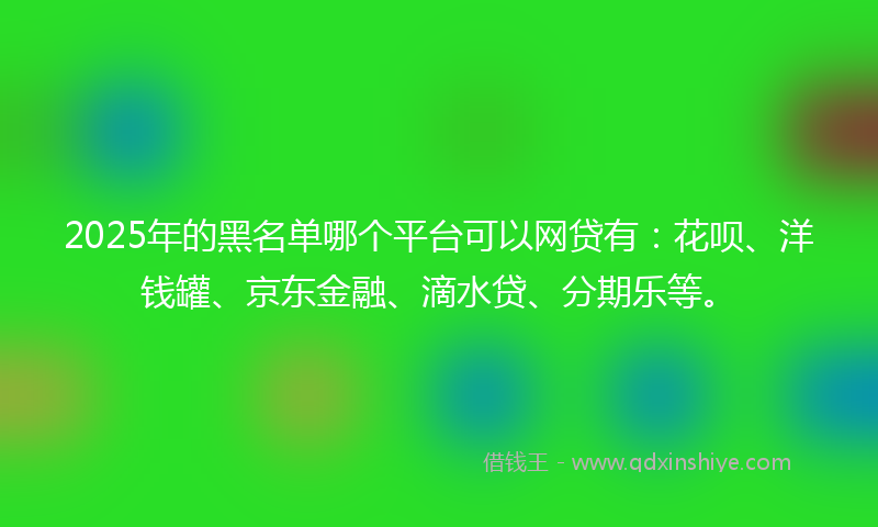 2025年的黑名单哪个平台可以网贷有：花呗、洋钱罐、京东金融、滴水贷、分期乐等。