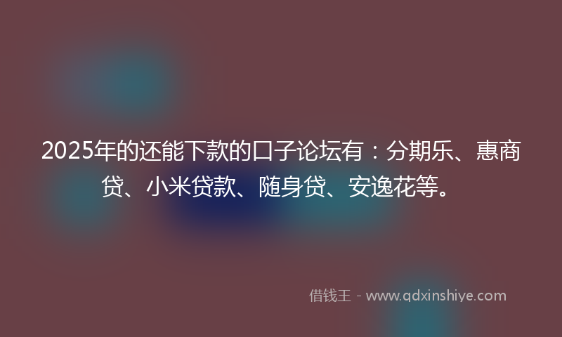 2025年的还能下款的口子论坛有：分期乐、惠商贷、小米贷款、随身贷、安逸花等。