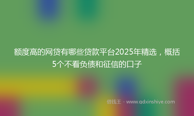 额度高的网贷有哪些贷款平台2025年精选，概括5个不看负债和征信的口子