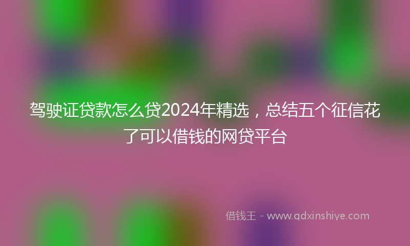 驾驶证贷款怎么贷2024年精选，总结五个征信花了可以借钱的网贷平台